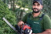 Bahçeniz Emin Ellerde! 🌿 Muhammad Garden Hizmetinizde